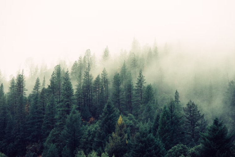 Sacramento Hit by Dense Fog and Chilly Thanksgiving Forecast as Residents Warned to Bundle Up
