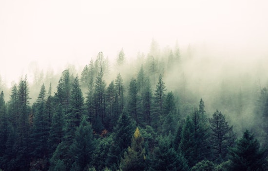 Sacramento Hit by Dense Fog and Chilly Thanksgiving Forecast as Residents Warned to Bundle Up