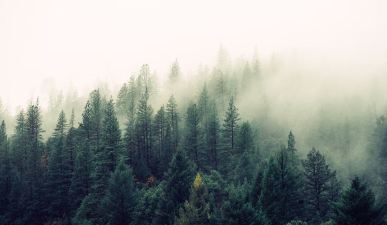 Sacramento Hit by Dense Fog and Chilly Thanksgiving Forecast as Residents Warned to Bundle Up