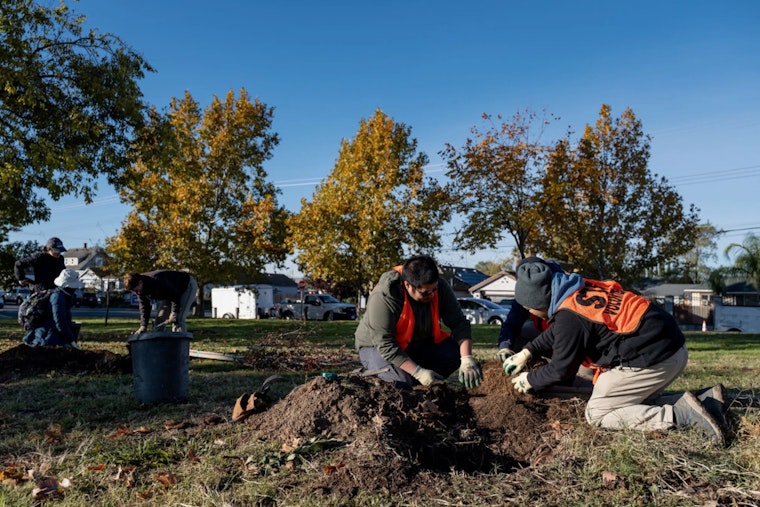 Sacramento Rallies 400 Volunteers to Plant 215 Trees, Bolstering Urban Forest and Community Spirit