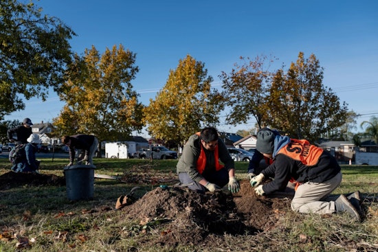 Sacramento Rallies 400 Volunteers to Plant 215 Trees, Bolstering Urban Forest and Community Spirit