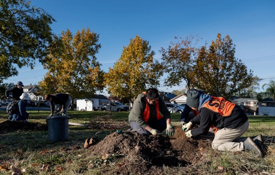 Sacramento Rallies 400 Volunteers to Plant 215 Trees, Bolstering Urban Forest and Community Spirit