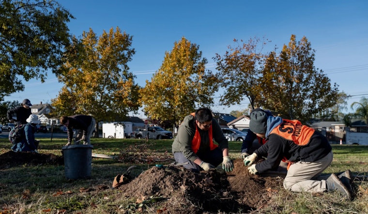 Sacramento Rallies 400 Volunteers to Plant 215 Trees, Bolstering Urban Forest and Community Spirit
