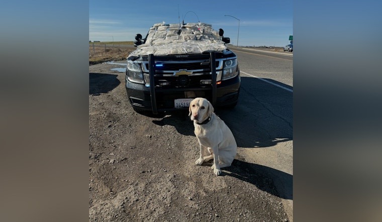 Sacramento Traffic Stop Leads to Major Meth Bust as El Monte Man Is Charged with Trafficking