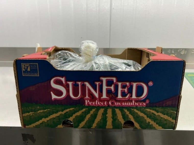 Salmonella Alert, SunFed Produce Recalls Cucumbers Across North America Amid Health Concerns