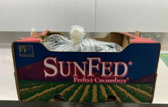 Salmonella Alert, SunFed Produce Recalls Cucumbers Across North America Amid Health Concerns