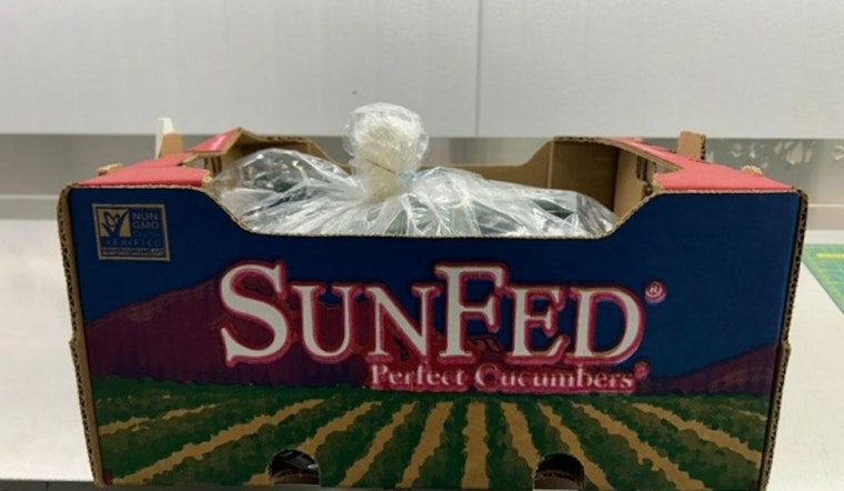 Salmonella Alert, SunFed Produce Recalls Cucumbers Across North America Amid Health Concerns