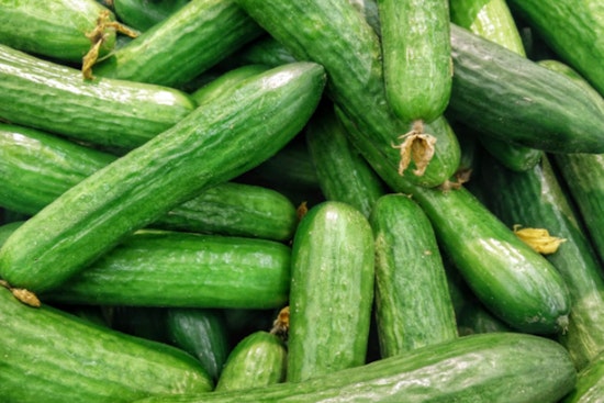 Salmonella Concerns Prompt Recall of SunFed Cucumbers Across 26 U.S. States and Canada