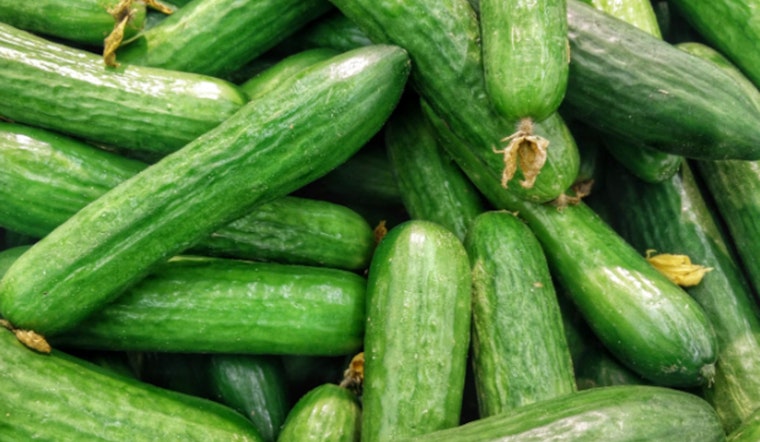 Salmonella Concerns Prompt Recall of SunFed Cucumbers Across 26 U.S. States and Canada