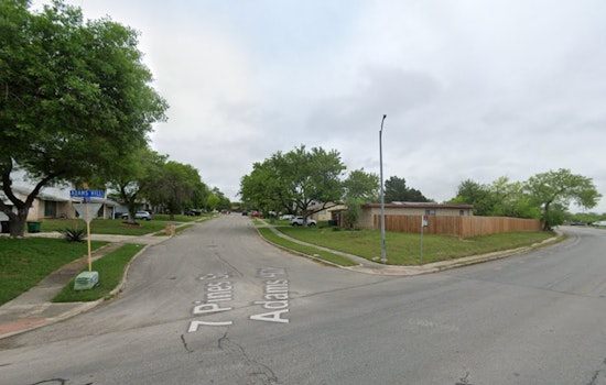 San Antonio Man Fatally Shoots Two Dogs in Self-Defense Following Attack on Pet Cat