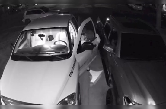 San Antonio Small Business Owner's "Dream" Stolen with Work Truck, Ecotopia Pest Control Seeks Support