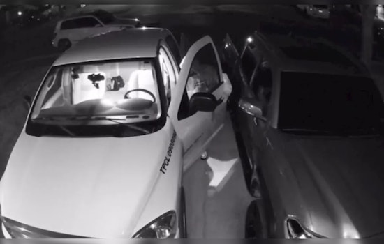 San Antonio Small Business Owner's "Dream" Stolen with Work Truck, Ecotopia Pest Control Seeks Support