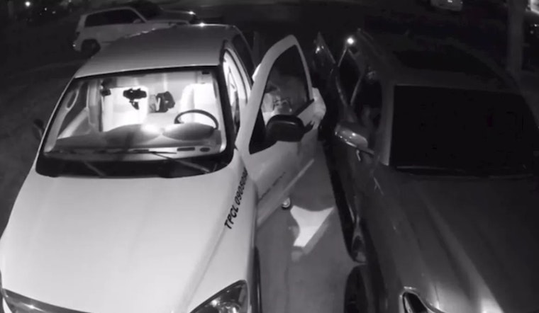 San Antonio Small Business Owner's "Dream" Stolen with Work Truck, Ecotopia Pest Control Seeks Support