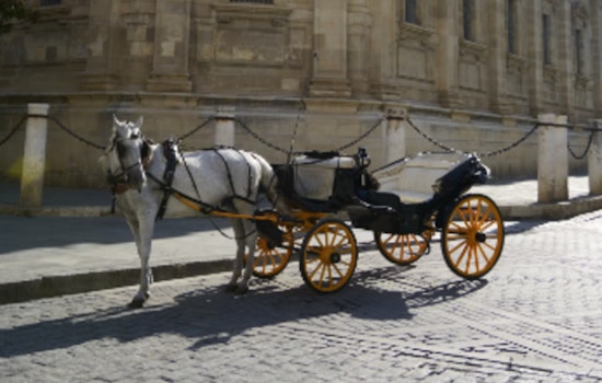 San Antonio's City Council Clash Over Future of Horse-Drawn Carriages Amid Tradition, Animal Welfare Concerns
