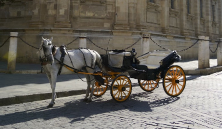 San Antonio's City Council Clash Over Future of Horse-Drawn Carriages Amid Tradition, Animal Welfare Concerns