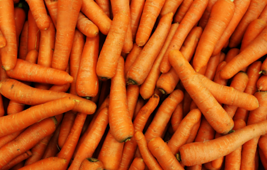 San Diego Shocker: Deadly E. Coli Outbreak Linked to Grimmway Farms Organic Carrots