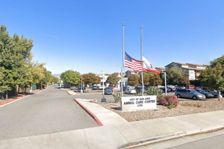 San Jose Animal Care Center Faces Scrutiny Over Poor Conditions and Mismanagement, Audit Reveals