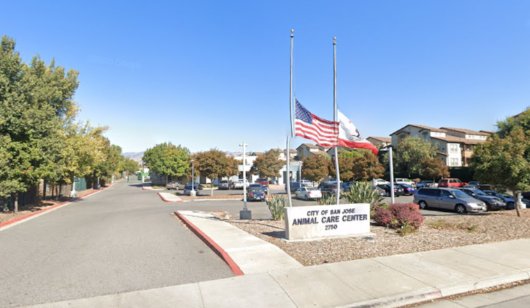 San Jose Animal Care Center Faces Scrutiny Over Poor Conditions and Mismanagement, Audit Reveals