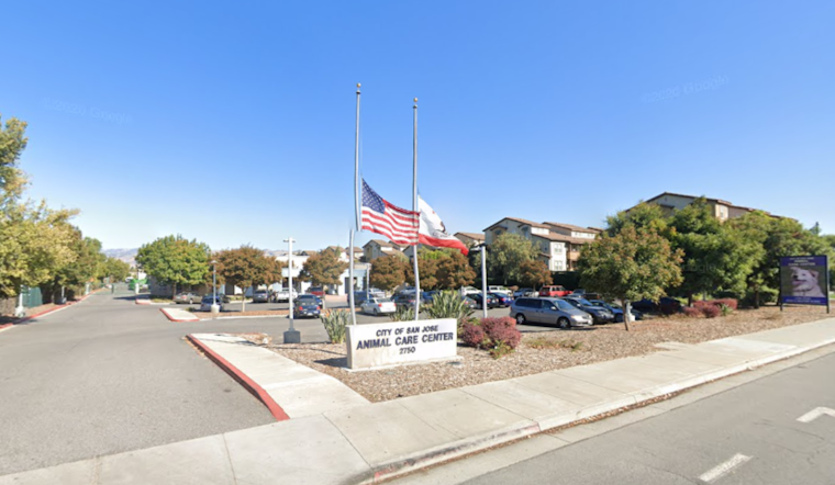 San José Partners with Pets for Patriots to Match Veterans with Overlooked Shelter Animals