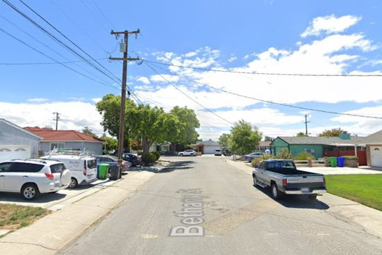 San Leandro Police Advise Hands-Off Approach After Coyote Spotted in Washington Manor Neighborhood