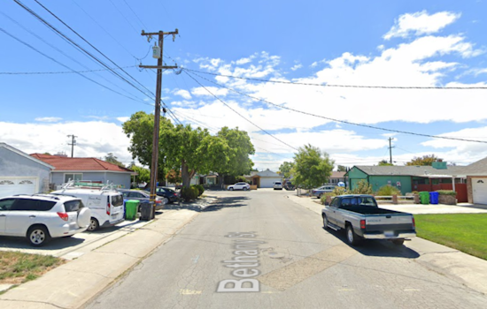 San Leandro Police Advise Hands-Off Approach After Coyote Spotted in Washington Manor Neighborhood