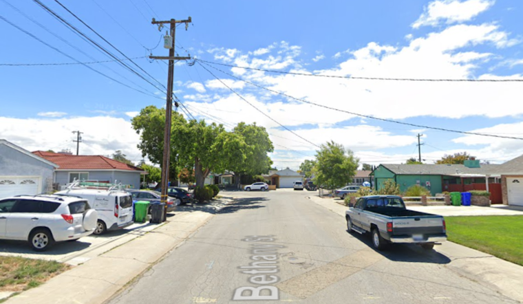 San Leandro Police Advise Hands-Off Approach After Coyote Spotted in Washington Manor Neighborhood