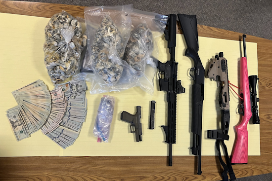 Santa Rosa Duo Arrested in Major Psychedelic Mushroom Bust, Firearms and Illicit Drugs Seized