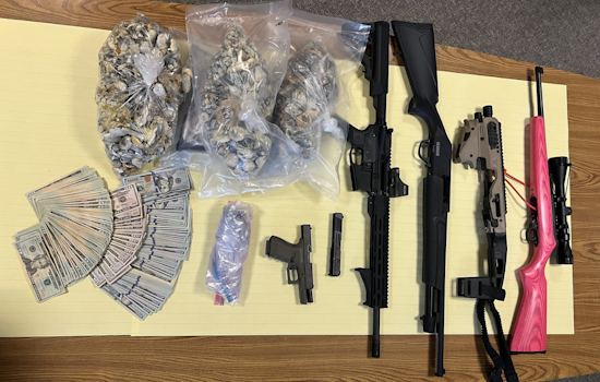 Santa Rosa Duo Arrested in Major Psychedelic Mushroom Bust, Firearms and Illicit Drugs Seized