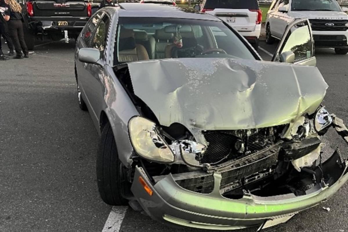 Santa Rosa Park Outing Disrupted by Suspected DUI Collision, Community