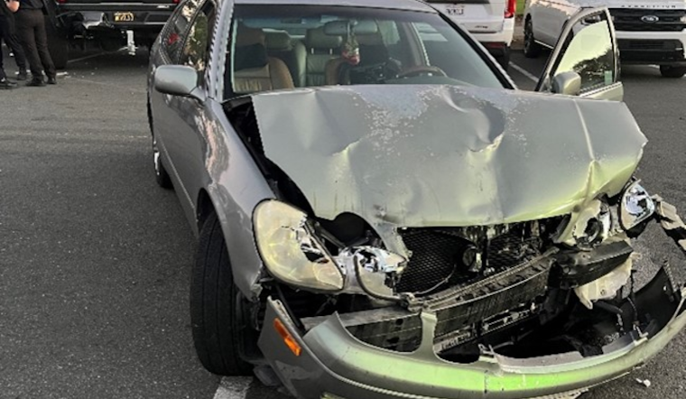 Santa Rosa Park Outing Disrupted by Suspected DUI Collision, Community Detains Driver