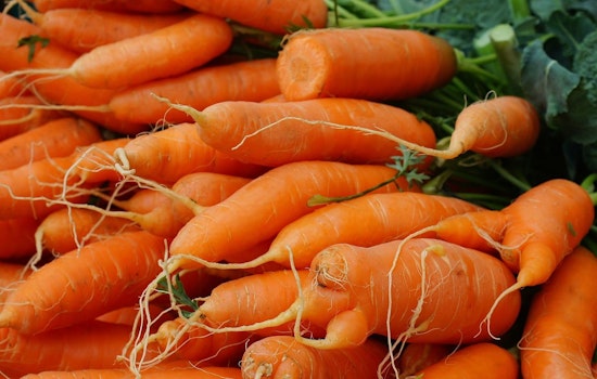 Savannah Resident Sues Grimmway Farms Alleging E. Coli Infection From Tainted Carrots