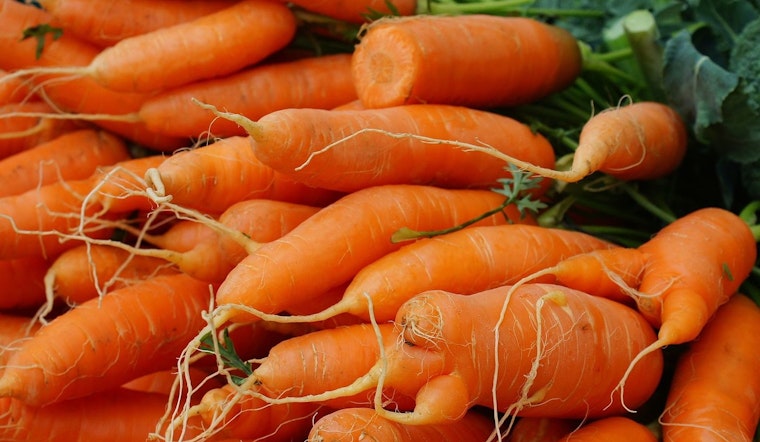 Savannah Resident Sues Grimmway Farms Alleging E. Coli Infection From Tainted Carrots