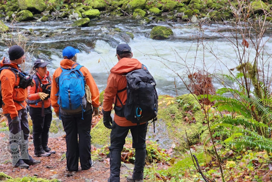 Search Intensifies for Missing Hiker Susan Lane-Fournier in Mt. Hood National Forest