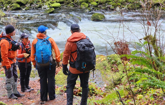 Search Intensifies for Missing Hiker Susan Lane-Fournier in Mt. Hood National Forest