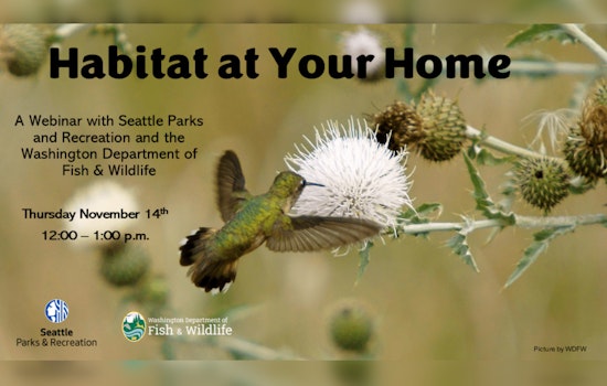 Seattle Embraces Urban Biodiversity with Free Wildlife Sanctuary Webinar