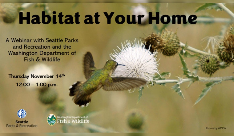 Seattle Embraces Urban Biodiversity with Free Wildlife Sanctuary Webinar