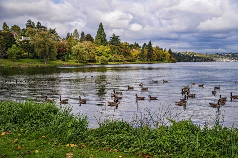 Seattle Parks and Recreation Invites Proposals for Unique Outdoor Preschool Programs in City Parks