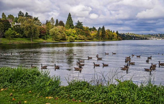 Seattle Parks and Recreation Invites Proposals for Unique Outdoor Preschool Programs in City Parks