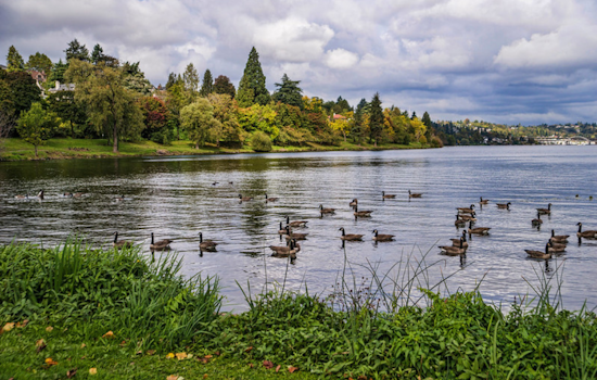 Seattle Parks to Remain Open for Veterans Day reflections; Select Facilities to Close