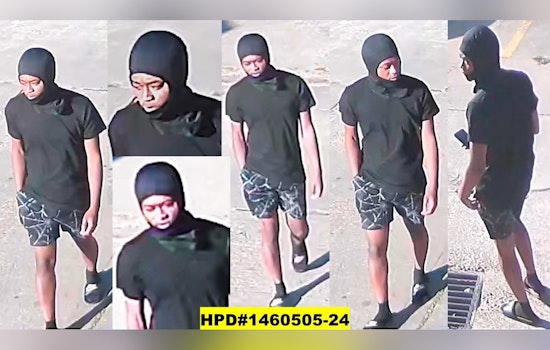 Second Suspect Arrested in Houston's West Gulf Bank Sexual Assault Series