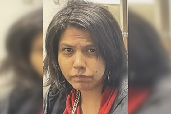 Silver Alert Issued for Missing Mishawaka Woman, Megan McGee, Feared in Extreme Danger