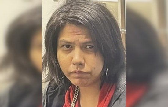 Silver Alert Issued for Missing Mishawaka Woman, Megan McGee, Feared in Extreme Danger