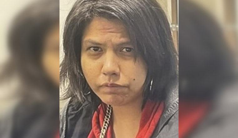 Silver Alert Issued for Missing Mishawaka Woman, Megan McGee, Feared in Extreme Danger