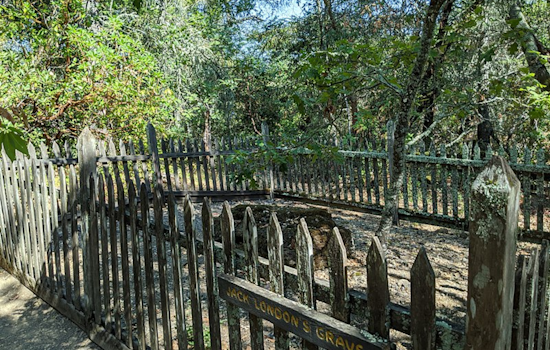 Sonoma County to Commemorate Jack London with 108th Anniversary Memorial at Historic Park