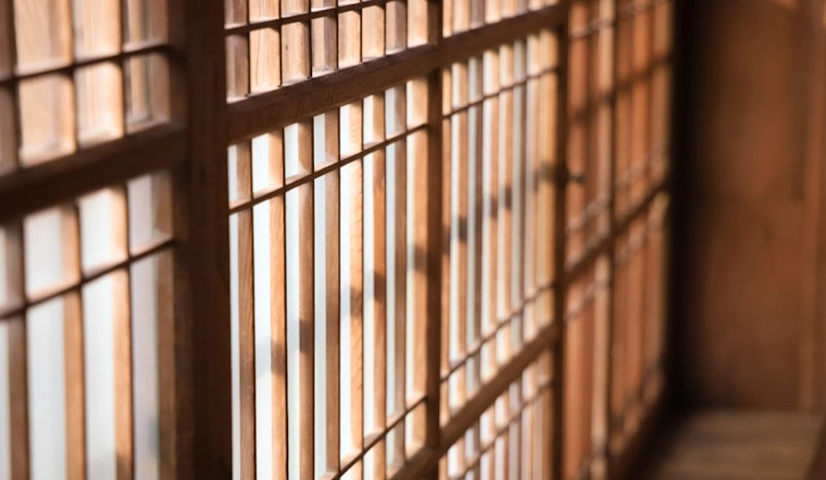 South Carolina Man Sentenced to 18 Months for Assault on Officers During Capitol Riot