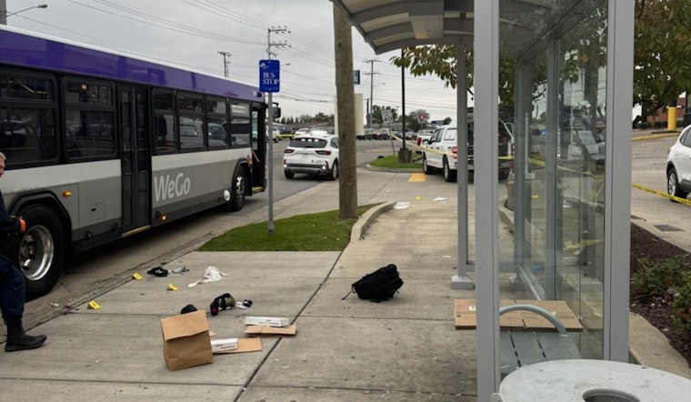 South Nashville Morning Stabbing at Bus Stop Leaves Woman Dead, Suspect Detained with Help from Locals