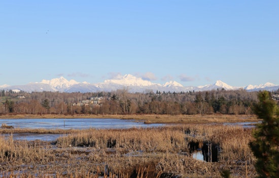 Spencer Island Restoration Plans Progress with Public Workshop in Everett on December 5