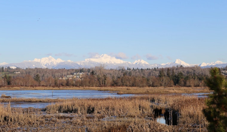 Spencer Island Restoration Plans Progress with Public Workshop in Everett on December 5