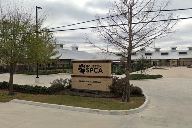 Spook-tacular Success, Houston SPCA's Howl-O-Ween Ball Raises Record $1.3 Million for Animal Welfare