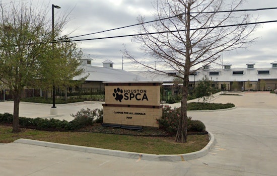 Spook-tacular Success, Houston SPCA's Howl-O-Ween Ball Raises Record $1.3 Million for Animal Welfare